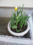 image/2012-04-29T10:48:05-1.jpg