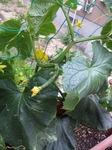 image/2012-06-23T14:43:06-1.jpg