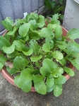 image/2012-06-23T14:43:06-2.jpg